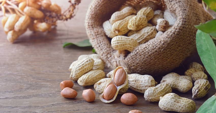 Benefits of Eating Peanuts During Pregnancy