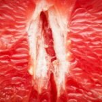 Healthy Vagina