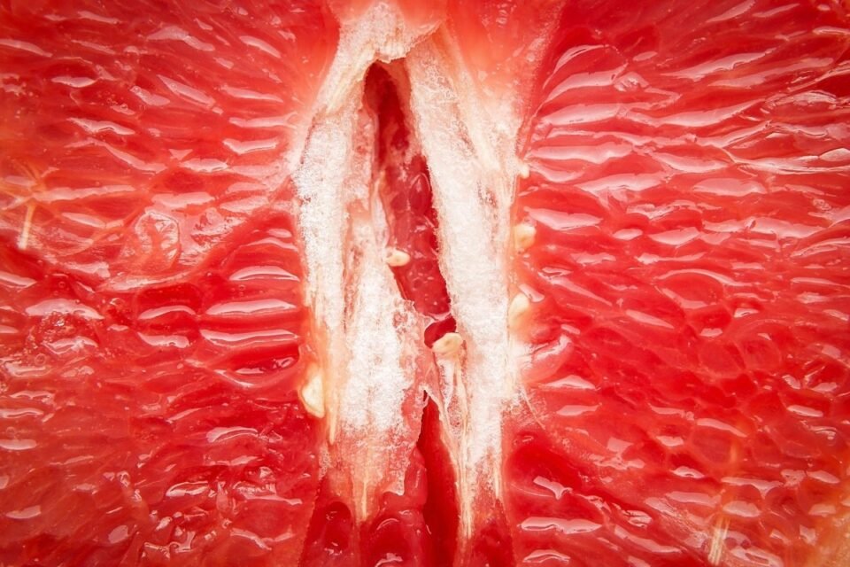 Healthy Vagina